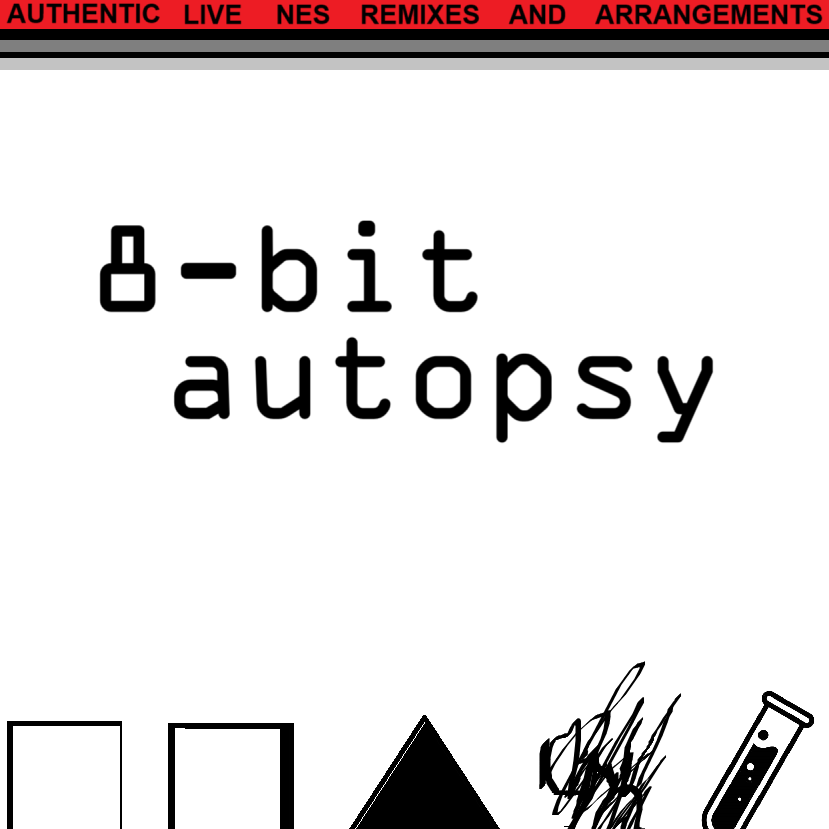 8-bit Autopsy
