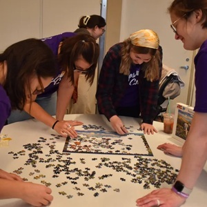 Team 500 Piece Puzzle Speed Run